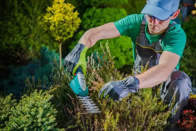 landscaping services Kennett
